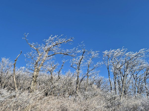 Welche Rolle spielt Schlaf für die psychische Gesundheit?